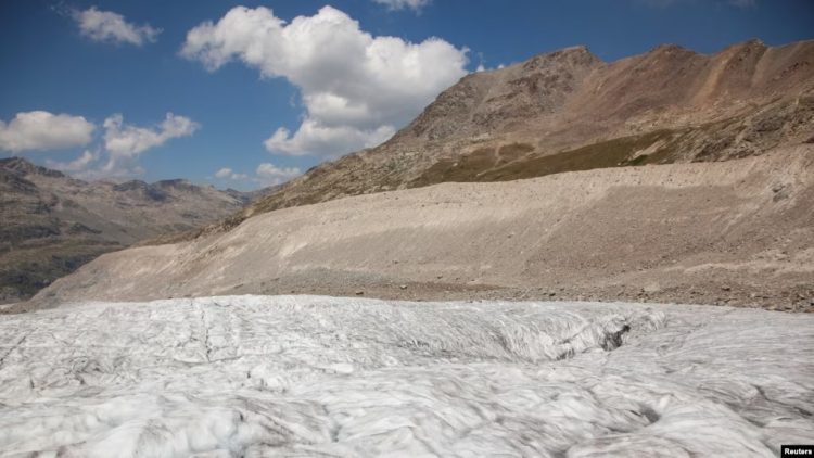 Akullnajat zvicerane humbin 10 për qind të masës brenda dy vjetëve