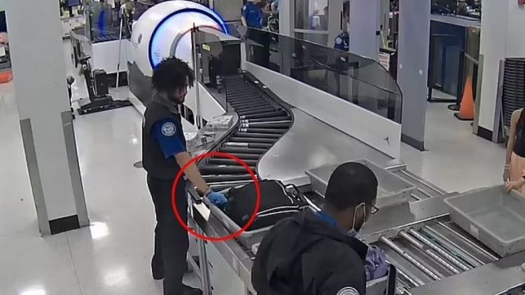 Video/Punonjësit e aeroportit të Miamit kapen duke vjedhur para në valixhet e pasagjerëve