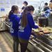 Cilat vende europiane ofrojnë ushqim falas për studentët?
