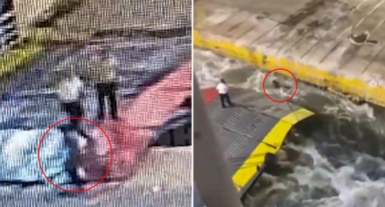 Greqi/ Ekuipazhi i tragetit hedh në det 36-vjeçarin dhe i shkakton vdekjen (Video)