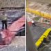 Greqi/ Ekuipazhi i tragetit hedh në det 36-vjeçarin dhe i shkakton vdekjen (Video)