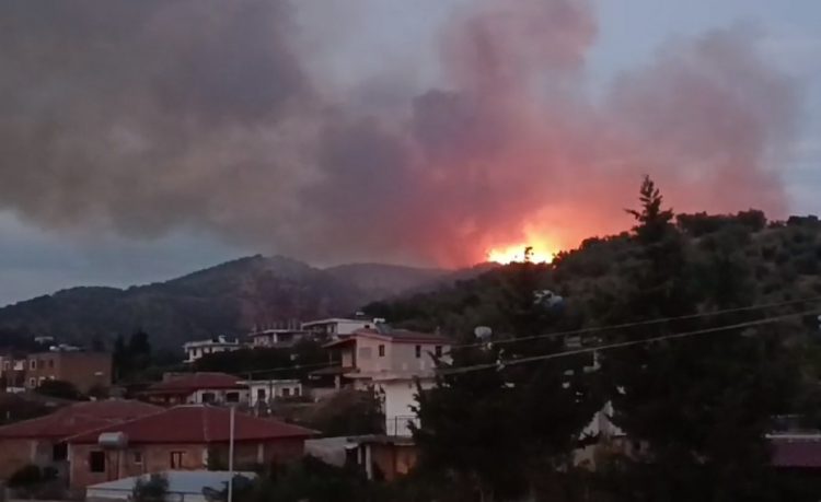 Shuhet zjarri në kodrat e fshatit Zhamë të Lushnjes