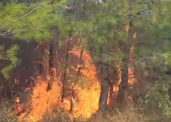 Zjarri në Fier, kërkohet ndërhyrja nga ajri