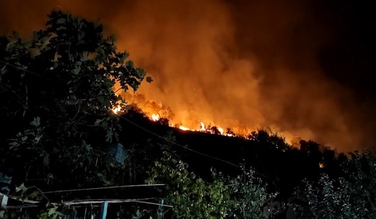 Zjarri në Zhamë të Lushnjes, në terren edhe efektivët e Batalionit të 3 të Këmbësorisë