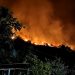 Zjarri në Zhamë të Lushnjes, në terren edhe efektivët e Batalionit të 3 të Këmbësorisë