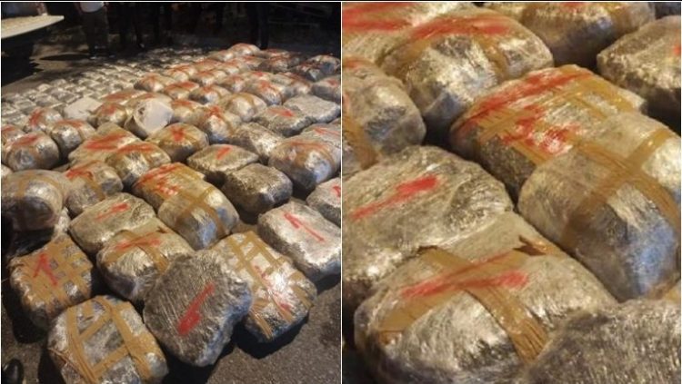 Gjermani/ Sekuestrohen 240 kg kokainë që vinte nga Amerika Latine, arrestohen tre shqiptarë