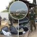 Tmerr në Izrael, terroristët e Hamasit masakrojnë 40 foshnja