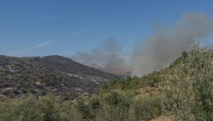 Zjarri në Kraps të Fierit, flakët përhapen drejt fshatrave të Patosit