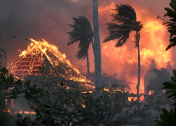 Paralajmërojnë shkencëtarët: “Shenjat vitale” të Tokës janë më të këqija se në çdo kohë në historinë njerëzore