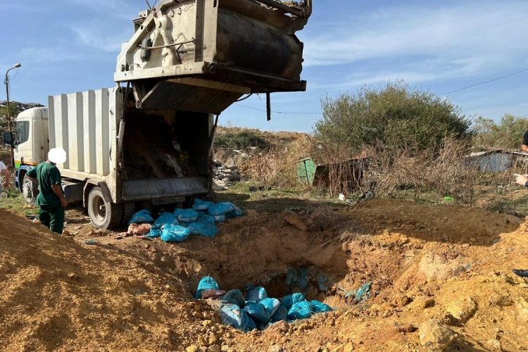 Kosovë, asgjësohen rreth 2000 kg mish me afat të skaduar