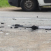 Aksident me 4 të plagosur në Savër të Lushnjës, mes tyre 2 fëmijë