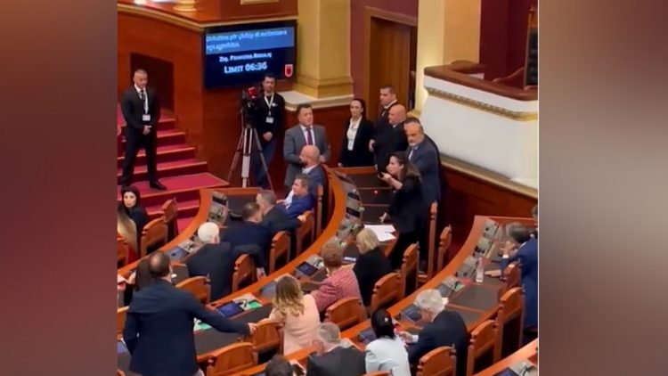 “Vareni në ballë atë foto”, deputetja-opozitës: Shqipëria del nga lista gri, ju zhyteni në zi!