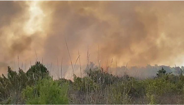 Zjarr te kodrat me ullishte në Radostinë të Fierit