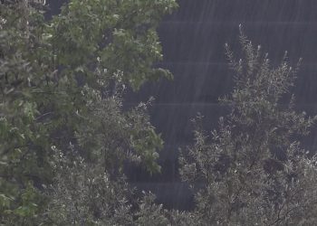 Reshje shiu dhe stuhi ere, parashikimi i motit për ditën e sotme