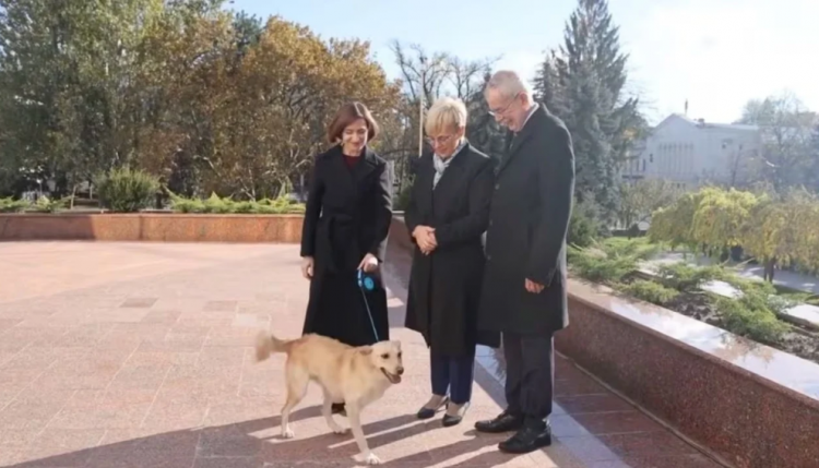 Qeni i presidentes moldave kafshon presidentin austriak (Video) 
