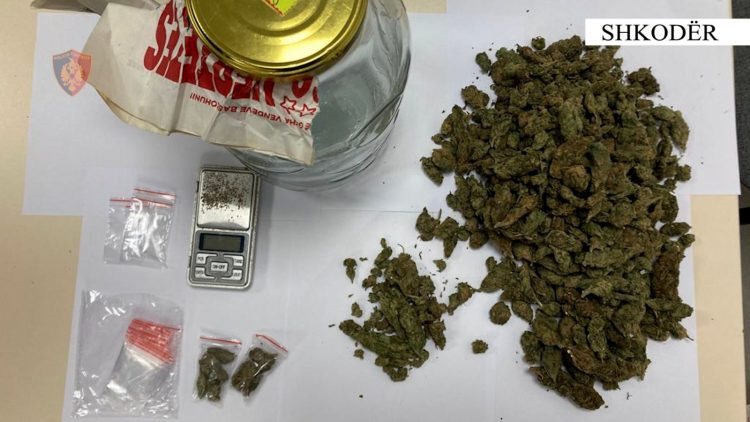 Shiste kanabis në lagje të ndryshme të Shkodrës, arrestohet 29-vjeçari 