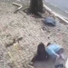 Dalin pamjet e aksidentit te Kryeministria/ I riu “fluturon” disa metra pas përplasjes (VIDEO)