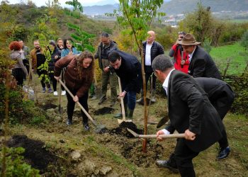 Tiranës i shtohen edhe 2500 pemë, Veliaj: Na duhen më shumë investime të tilla që i ngelen qytetit