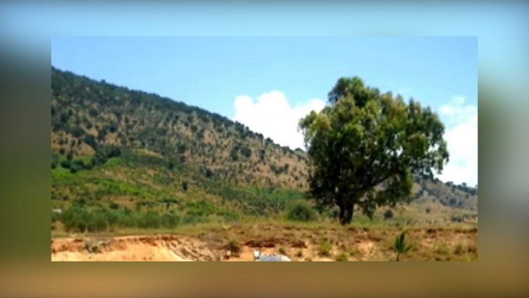 Koka e njeriut e groposur në Sarandë, policia pritet të nisë kërkimet për pjesët e tjera të trupit