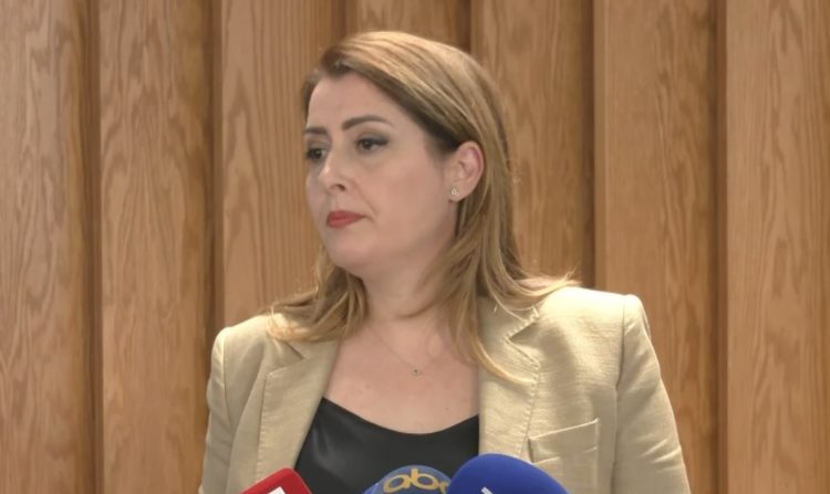 Dhunimi i 3-vjeçares nga edukatorja, Manastirliu jep të dhënat e Task Forcës: 8 kopshte në Tiranë të pa licencuara