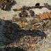 Gjendet një arsenal armësh në Gramsh, informacionet e para