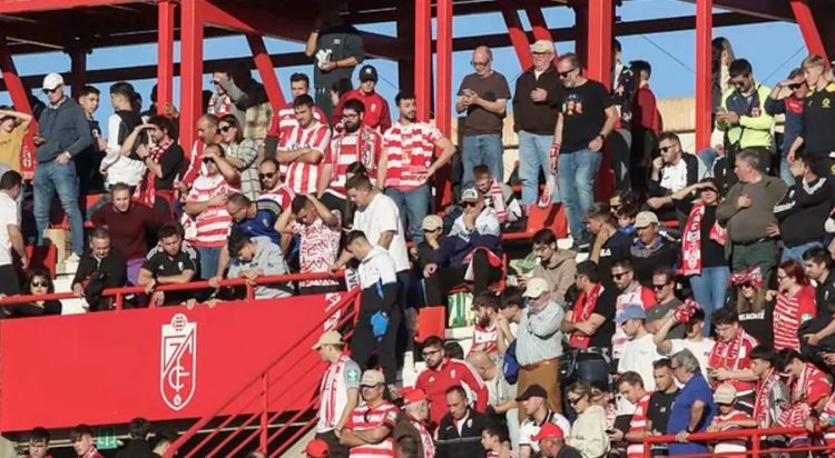 Tifozi vdes në stadium, pezullohet ndeshja