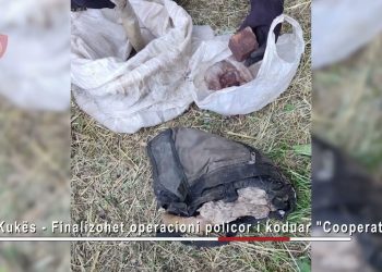 I shpallur në kërkim për posedim lënde eksplozive dhe municioni luftarak/ Arrestohet 52-vjeçari në Kukës