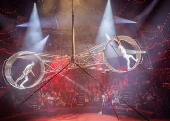 Akrobati rrëzohet nga 10 metra lartësi gjatë shfaqjes së cirkut