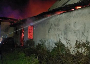 Digjet mobileria në Lushnje, detajet e para