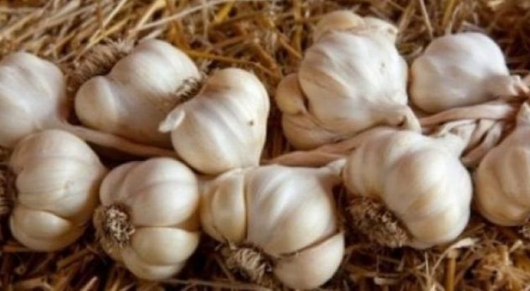 Senatori amerikan: Hudhra kineze përbën rrezik për sigurinë kombëtare 