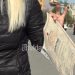 ”Nuk ka një diplomë, ka dy”/ Çudia me zonjën që ka diplomë, por jo vitin e fundit të shkollës