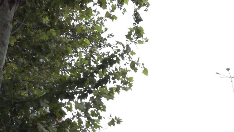 Rritje temperaturash dhe vranësira, parashikimi i motit për sot