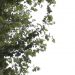 Rritje temperaturash dhe vranësira, parashikimi i motit për sot