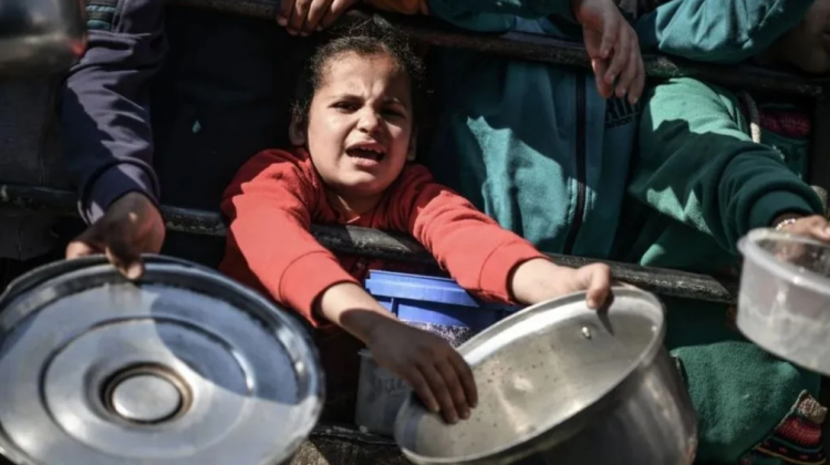 OKB: Nëse lufta vazhdon, Gaza do të përballet me urinë ekstreme 