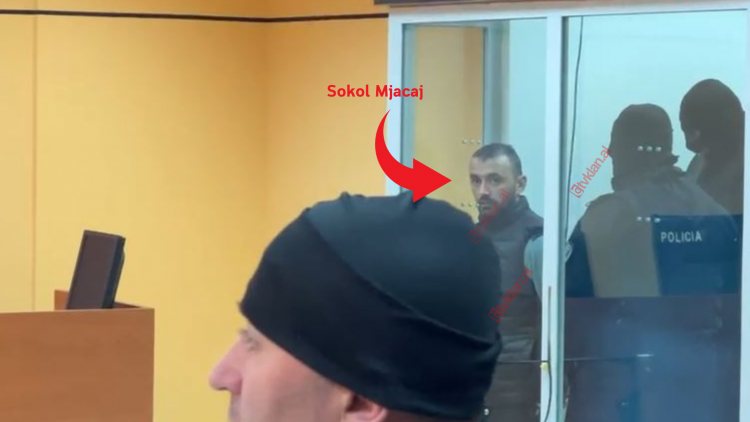 Ekzekutimi brenda burgut, Sokol Mjacaj u tregon hetuesve mekanizmat si e bëri vrasjen