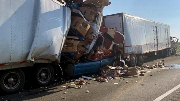 Aksident zinxhirë në Kaliforni/Përplasen 35 automjete, 2 të vdekur dhe 9 të plagosur (Video)