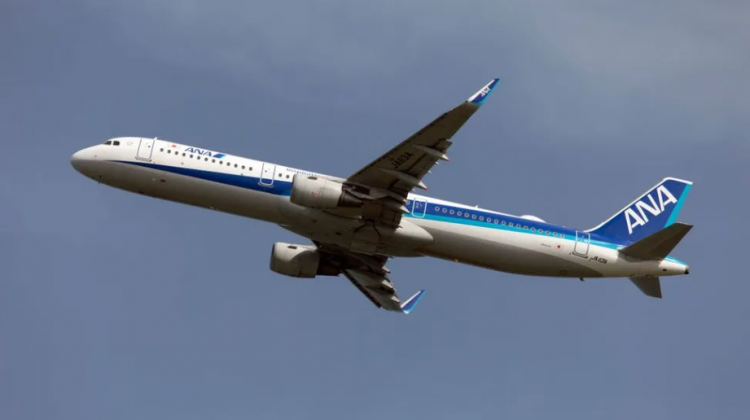 Pasagjeri i kafshon krahun anëtares së ekuipazhit të avionit, piloti detyrohet të kthehet në Tokio 