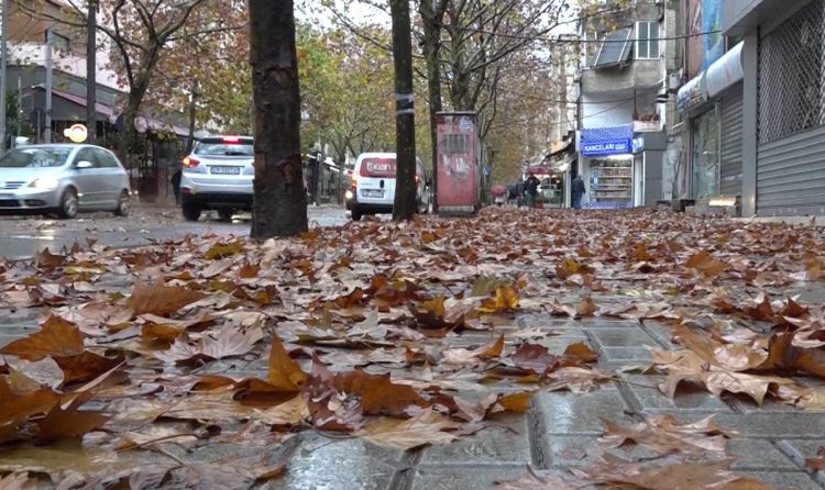10 ditët e para të Janarit të ngrohta. Të dielën reshje shiu, pas 10 Janarit vjen i ftohti polar 