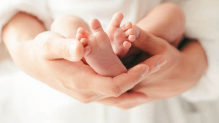 Rënia e lindjeve, efekte negative edhe në ekonomi