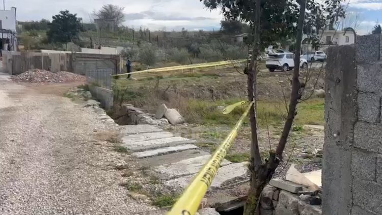 19-vjeçarja që vrau babanë, dyshohet se u ndihmua nga vëllai i madh për ta groposur