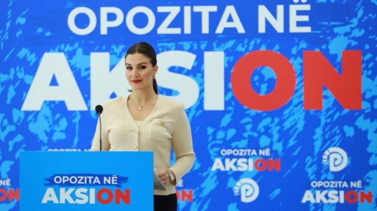 Raporti i Freedom House, PD: Kërkojmë qeveri teknike që siguron zgjedhje të lira