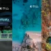 Rama ndan videon: Shqipëria bëhet gati të përfaqësohet në panairin më të madh të turizmit në Gjermani 