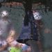 VIDEO/ Bletët ndërpresin ndeshjen e tenisit