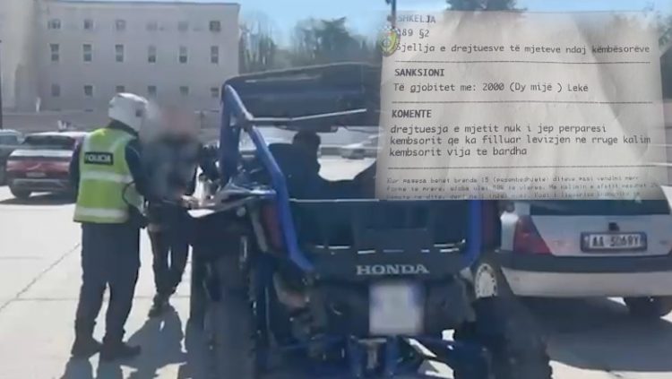 Tiranë/ Për një javë mbi 9 mijë gjoba për drejtuesit e mjeteve, ndëshkohen edhe 44 këmbësorë