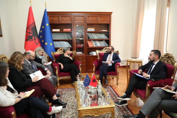 Bardhi takim me reporteren për Shqipërinë në PE: Mazhoranca, të heqë dorë nga tentativa për të kontrolluar politikisht drejtësinë 