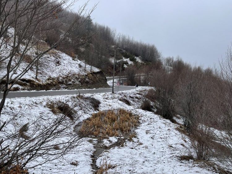 Rikthehet bora në zonat e thella malore të qarkut të Korçës