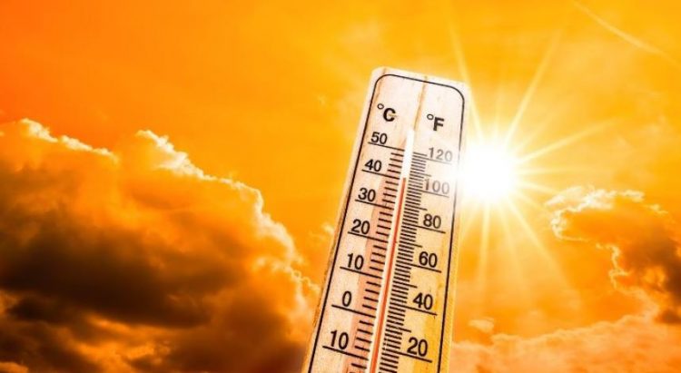 Temperatura rekord! Muaji shkurt më i ngrohti në botë 