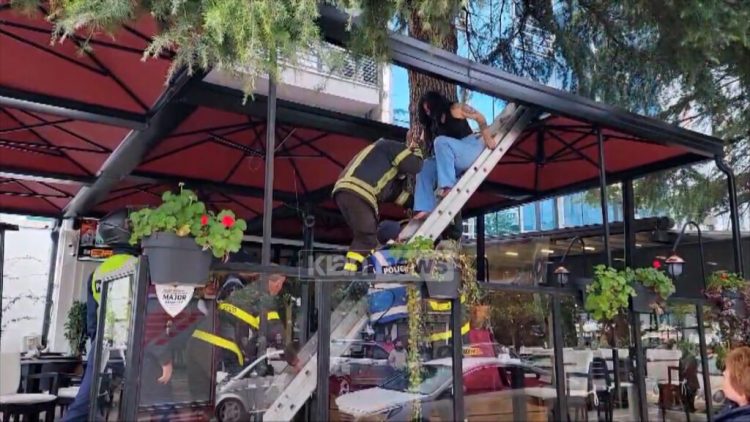 VIDEO/ Klienti tentoi të vriste vajzën nga Venezuela? Brenda hotelit në Durrës edhe vajza të tjera