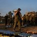 Gaza/ Ushtria izraelite i raporton qeverisë së saj: Jemi gati për të sulmuar në Rafah