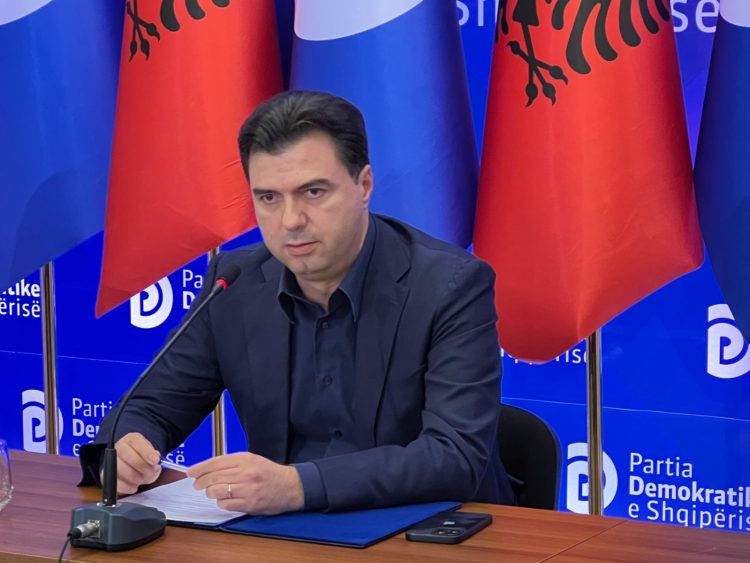 Votimi i amnistisë penale, Basha vendos kushtet e tij